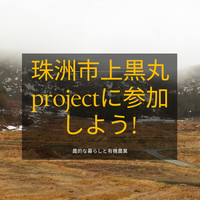 珠洲市上黒丸projectに加わろう! 有機米づくり講座(オンライン+現地)