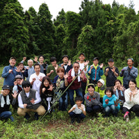 能登島産オリーブリーフティ