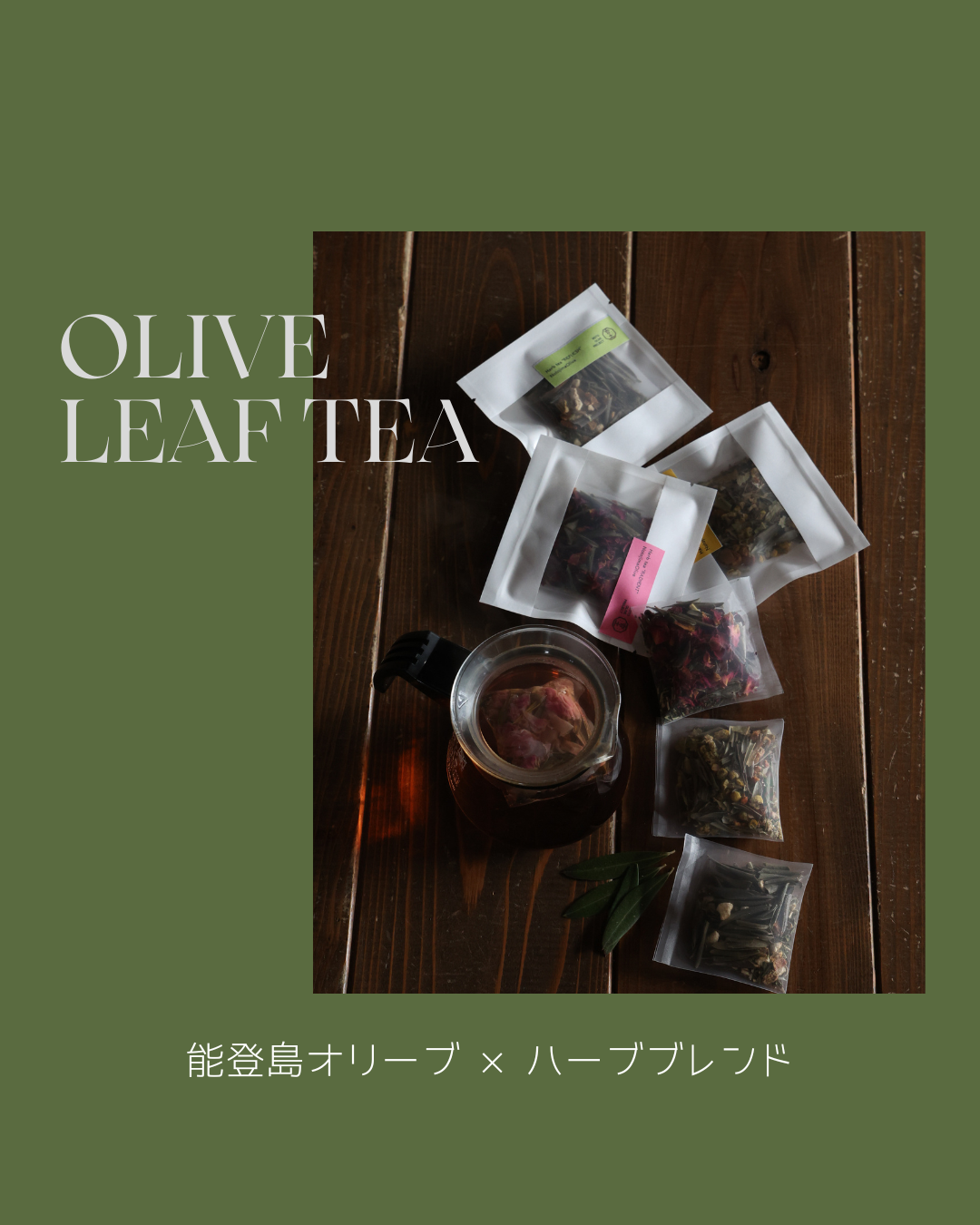 能登島産オリーブリーフティ