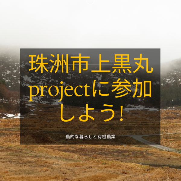珠洲市上黒丸projectに加わろう!　有機米づくり講座（オンライン＋現地）