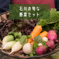 石川の旬な野菜セット