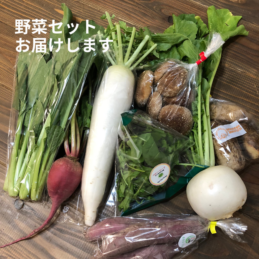 石川の旬な野菜セット